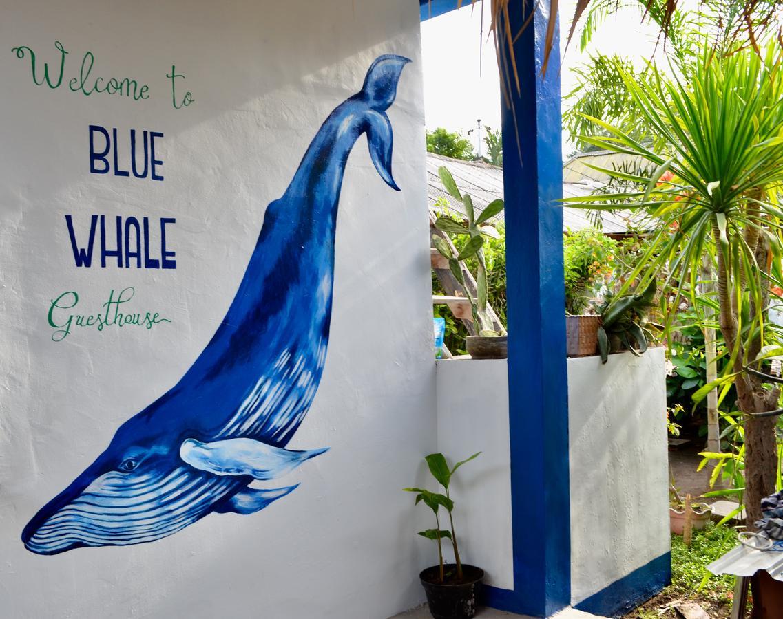 Blue Whale Guesthouse Gili Trawangan Esterno foto